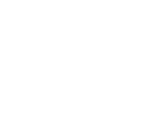 Gamma Point Advisory